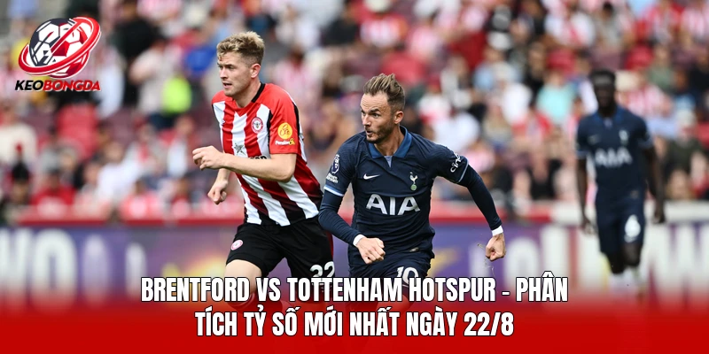 Brentford Vs Tottenham Hotspur - Phân Tích Tỷ Số Mới Nhất Ngày 22/8