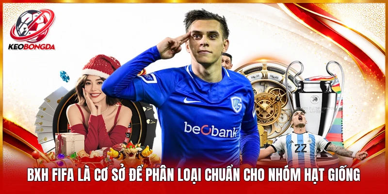 BXH FIFA là cơ sở để phân loại chuẩn cho nhóm hạt giống