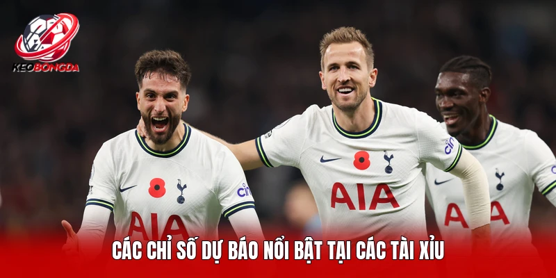 Các chỉ số dự báo nổi bật tại các tài xỉu