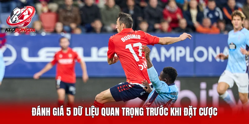 Đánh giá 5 dữ liệu quan trọng trước khi đặt cược