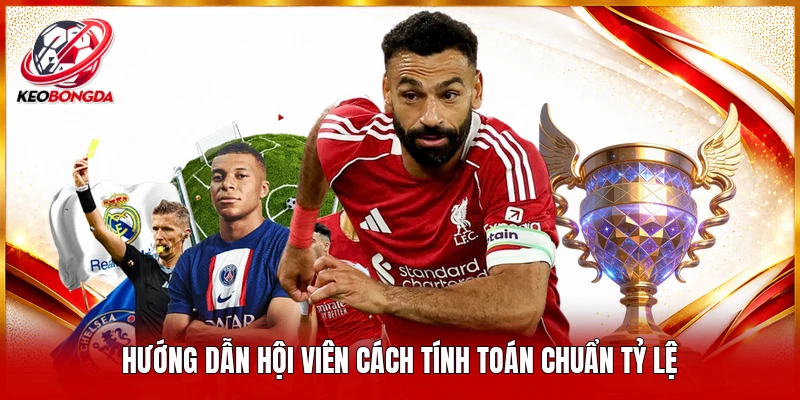 Hướng dẫn hội viên cách tính toán chuẩn tỷ lệ