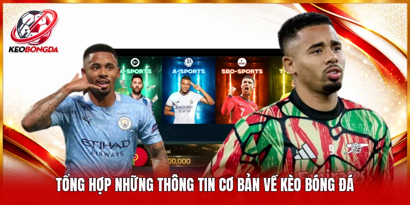 Tổng hợp những thông tin cơ bản về kèo bóng đá